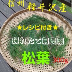 採れたて新鮮♪︎信州軽井沢産 上質赤松松の葉300g 松葉茶松ジュース 松葉レシピ付き 野菜