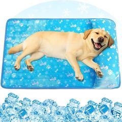 Item thumbnail for item 599c05b7-42fa-4592-b41f-1c6473fa9b03