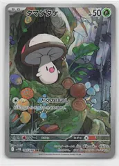 2025年最新】タマゲタケの人気アイテム - メルカリ