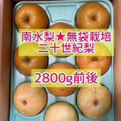 訳あり無袋栽培南水&二十世紀梨2800g前後