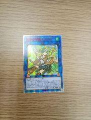 遊戯王 蒼翠の風霊使いウィン 20thシークレット PSA10 - メルカリ
