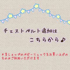 チェストベルト追加はこちらから♪