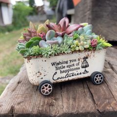 オーダー承ります　多肉植物そのまま飾れる　ちま寄せ花車