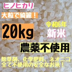 さくらの白米  農薬不使用    ヒノヒカリ  白米  20kg