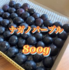 希少‼️ナガノパープル🍇中大粒　800gオーバー‼️