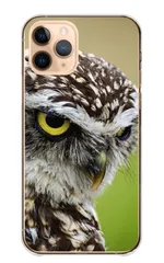 Galaxy S10 SC-03L SCV41 ケース カバー ギャラクシーS10 スマホケース ハードケース フクロウ 梟 鳥 鳥類 ミミズク シマフクロウ シロフクロウ メンフクロウ 写真 可愛い かわいい カラー09