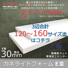 2024年最新】カネライトフォームの人気アイテム - メルカリ