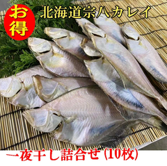 北海道宗八カレイ 送料無料　かれい 一夜干し 魚 干物 乾物 10枚セット