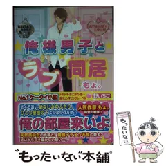 恋愛小説 セット 27冊 スターツ出版文庫・野いちご文庫・ケータイ小説文庫 など まとめ売り70冊 野いちご文庫 ケータイ小説文庫 スターツ出版