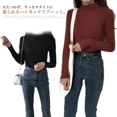 【送料無料】インナー カットソー トップス タートルネック ライトニット リブニット レディース ストレッチ ハイネック セーター 長袖 薄手 リブ 細身 タイト スリム 重ね着 無地 シンプル  大#tgbt662