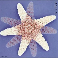 夏の魔物／ニノウデの世界　スピッツ　8センチCD 31NG2C6M4GL._UF350,350_QL50_.jpg