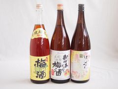 梅乃宿 あらごし梅酒 大人の宴ラッシー マンゴー カレーセット - メルカリ
