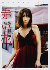 【絶版】マドンナ（MADONNA）写真集 11冊セット 絶版】マドンナ（MADONNA）写真集 11冊セット - メルカリ
