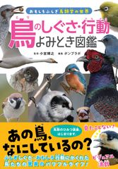 きっき様オーダー品 小鳥のステージ（とまり木） Lサイズ 2セット