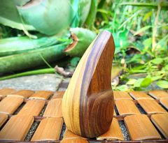 Item thumbnail for item 38d91fe0-c147-4b97-ad92-5cf39dc949e3