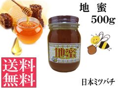 地蜜(日本ミツバチ)500g 非加熱 生はちみつ 国産 純粋 送料無料