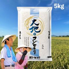 米 大地のコシヒカリ5kg お米 生活応援価格 白米