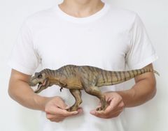 Nanmu 本心楠改 1/35 サイズ ティラノサウルス レックス King Ｔ-REX 大きい 肉食 恐竜 リアル フィギュア PVC プラモデル おもちゃ 模型 プレゼント 43.5cm級 オリジナル 塗装済 完成品  (山岳--標準版)