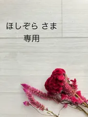 専用ページです