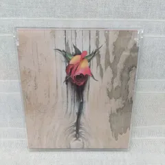 2025年最新】hyde evergreenの人気アイテム - メルカリ