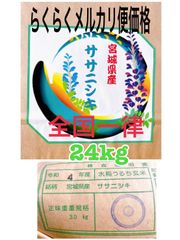 ササニシキ　1等米　24ｋｇ　白米　お米　希少米　らくらくメルカリ便価格