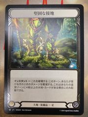 Flesh and blood 堅固な接地 / Well Grounded CF