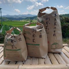 新米】大分県産 なつほのか 20kg 1等米 - メルカリ