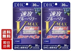 ブイマックスDHC 速攻ブルーベリー V MAX 新品未開封 180日分 約6ヶ月