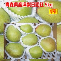 青森県産 洋梨 　日面紅（ひめんこ）12~24玉　5kg