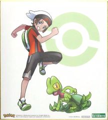 コトブキヤ ポケモン ユウキwithキモリ 色紙ARTFX ありがひとし 新品