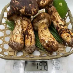 2025年最新】松茸 信州の人気アイテム - メルカリ