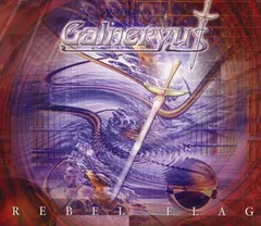 2025年最新】galneryus flagの人気アイテム - メルカリ
