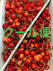 さくらんぼ（高砂）Mサイズ 箱込1キロ程度 山形県産