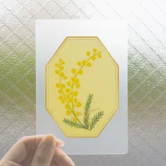 グリーティングカード｜VERRE クリアカード