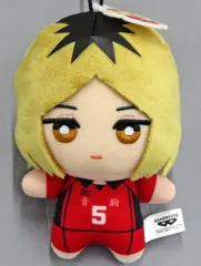 ハイキュー【孤爪研磨】 マスコットぬいぐるみ ちみっともぬい ぷちぬいぐるみ m15166440367_1.jpg?1714358175