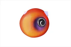 2026年最新】ビンビン玉 tg 156の人気アイテム - メルカリ