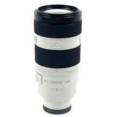 2025年最新】SEL100400GMの人気アイテム - メルカリ