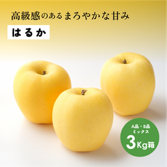 高級感のあるまろやかな甘み 11月収穫 幻のリンゴ 「はるか3キロ箱A品B品」長野県産 安曇野 信州産 幻