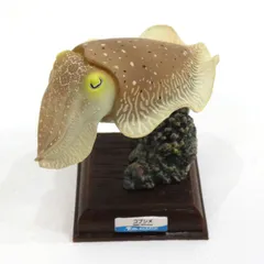 コブシメ ネイチャーテクニカラー 未開封 - メルカリ