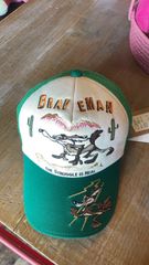 THE BRAVEMAN ブレイブマン ルーニーテューンズ コラボ CAP ツイルキャップ メッシュ コヨーテ ワイリー LTB-2411