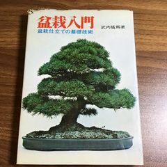 鬼才 関野正「盆栽は情念だ」盆栽世界特別号 赤松 黒松 ミニ盆栽