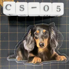 2025年最新】ダックスフント アートの人気アイテム - メルカリ