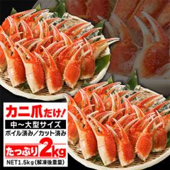大満足実入り抜群】本ズワイガニ2キロ！早い者勝ち!味良し！実入り良し