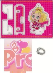 【中古】アクリルスタンド・アクリルパネル キュアフローラ(Go!プリンセスプリキュア) つながる! アクリルスタンドコレクション 「プリキュアオールスターズ」 プリティストア限定