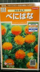 紅花 カルタムス べにばな 種　３袋セット