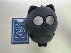 SEVENTEEN - SEVENTEEN  セブチ　ウォヌ　wonwoo 20cm ぬいぐるみ 新品 ウォヌ ぬいぐるみ 20cm 新品 マスター セブチ seventeen - メルカリ