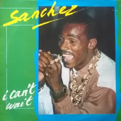 英LP Sanchez I Cant Wait BMLP049 Blue Mountain Record /00260のサムネイル
