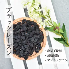 アフガニスタン産 ドライフルーツ ブラックレーズン 100g入り 健康スナック 無糖無油 農薬不使用 レーズンのサムネイル