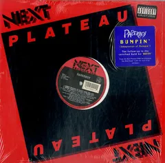 JAZZY HIPHOP レコード24枚セット　まとめ売り JAZZY HIPHOP レコード24枚セット まとめ売り