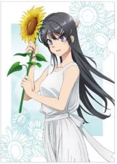 [중고] 클리어 파일 사쿠라지마 마이(해바라기와 하얀 원피스 ver.) 신작 일러스트 A4 클리어 파일